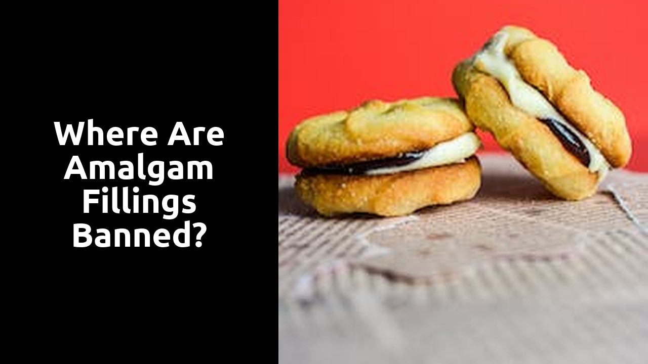 Where are amalgam fillings banned?